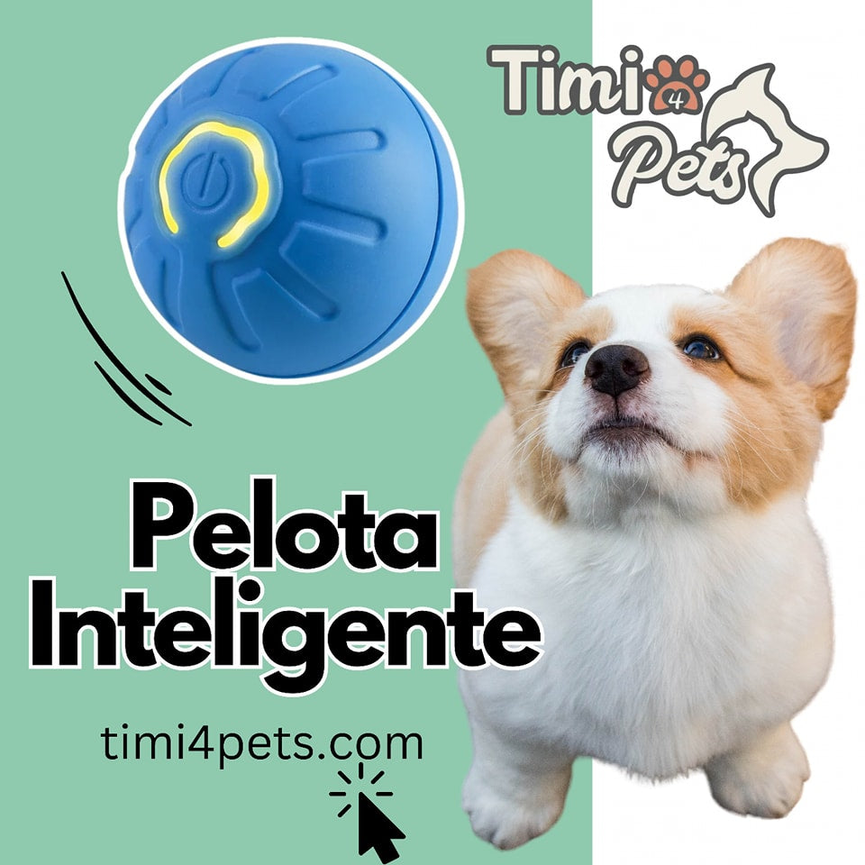 Pelota Inteligente