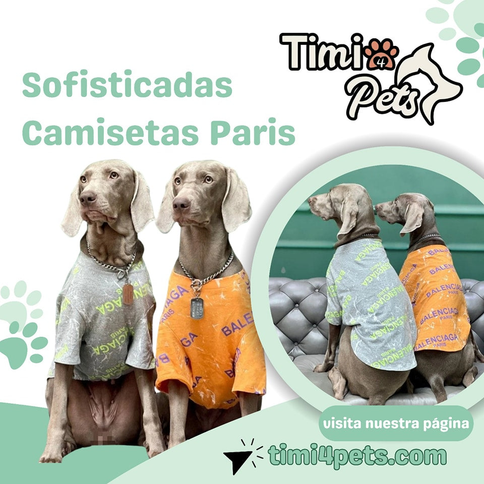 Sofisticadas Camisetas Paris