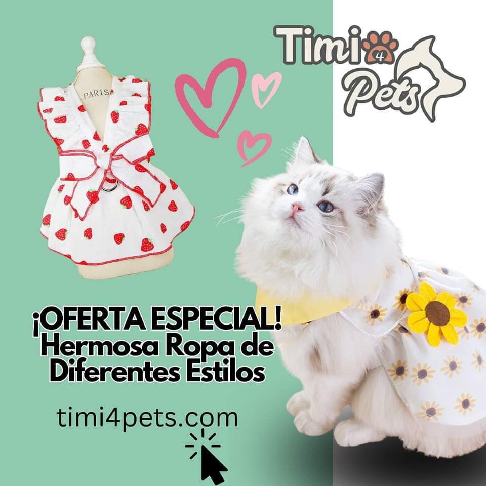 ¡OFERTA ESPECIAL! Hermosa Ropa de Diferentes Estilos