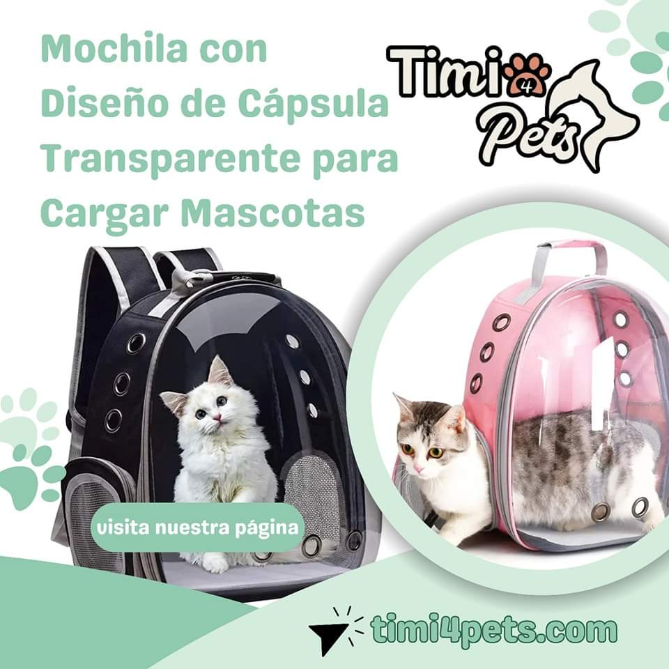 Mochila con Diseño de Cápsula