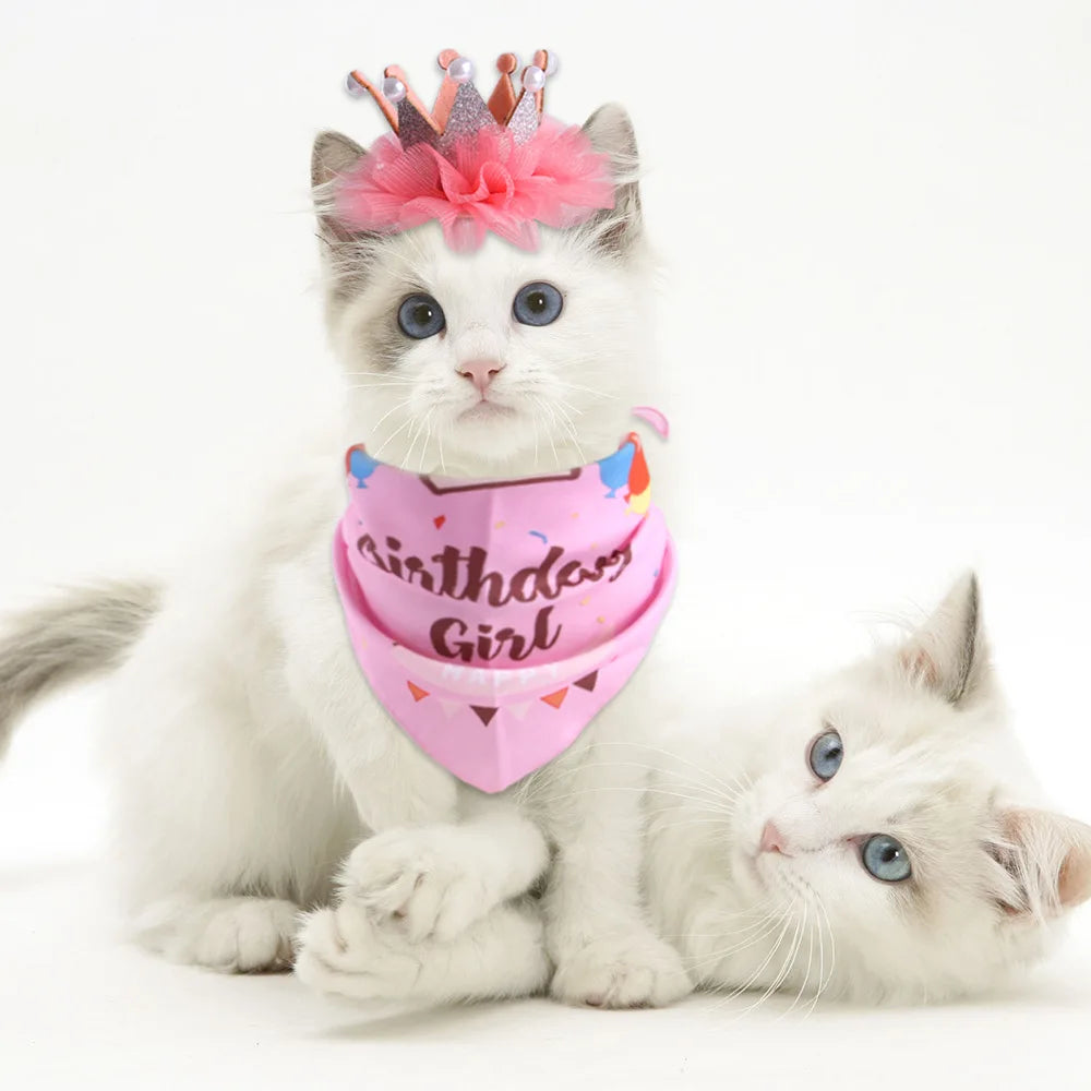 Conjunto de Bandana y Corona de Cumpleaños